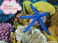 韓亞旅游信息咨詢 印度簽證材料簡化、陸路代辦價(jià)格與票務(wù)代售服務(wù)詳解